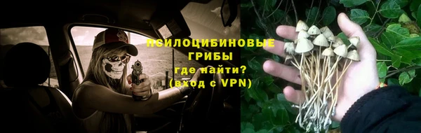 таблы Алзамай