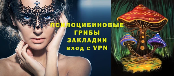 ПСИЛОЦИБИНОВЫЕ ГРИБЫ Алексин