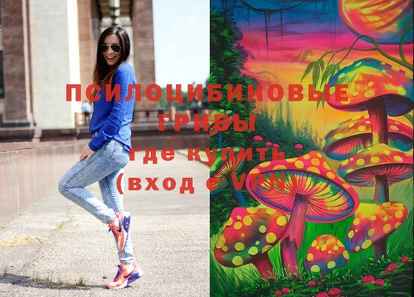ECSTASY Алексеевка