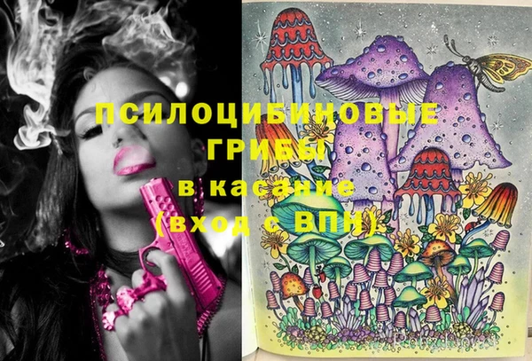 ECSTASY Алексеевка
